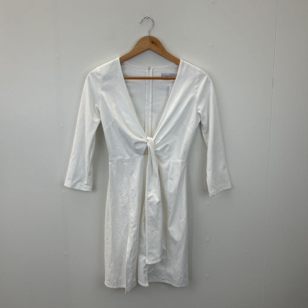 Lioness Dress (marked) - Size S