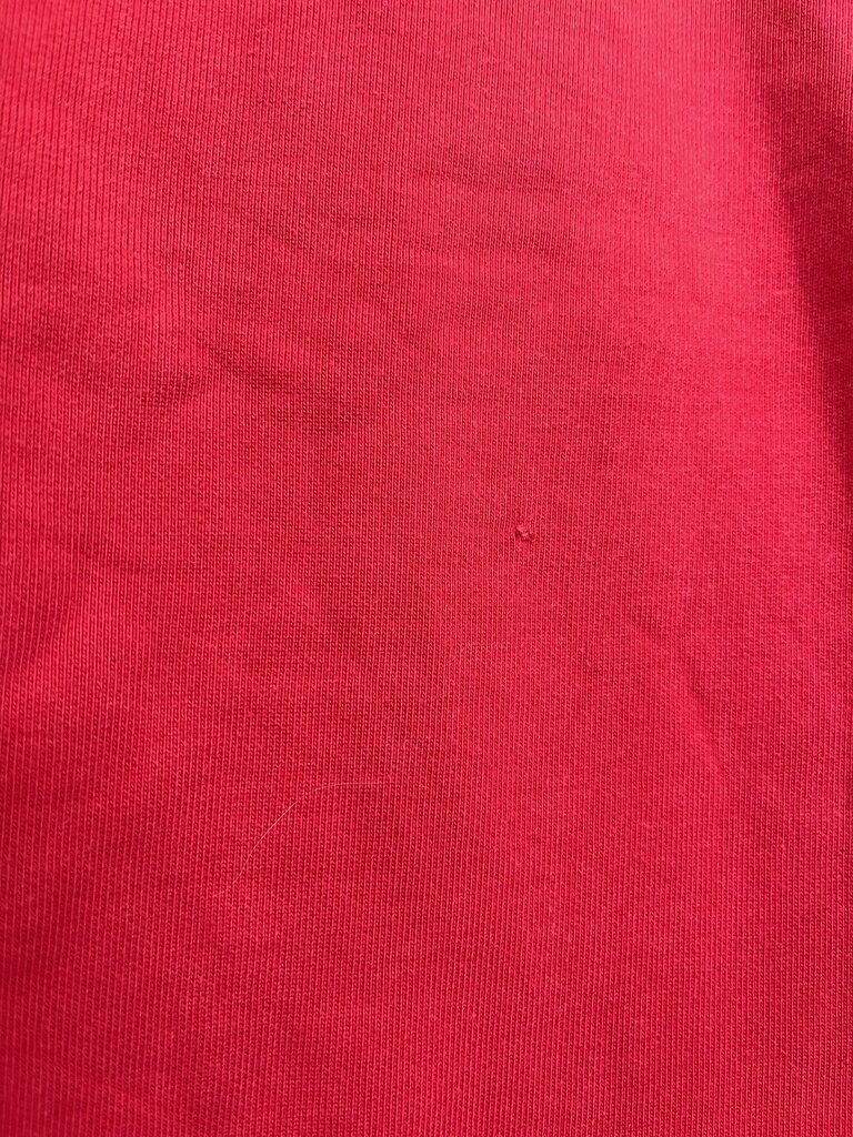 Champion Hoodie - Size M